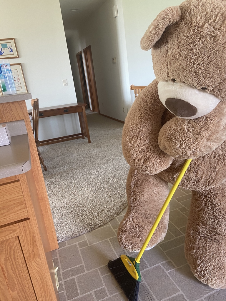 Teddy Bear sweeping floor.