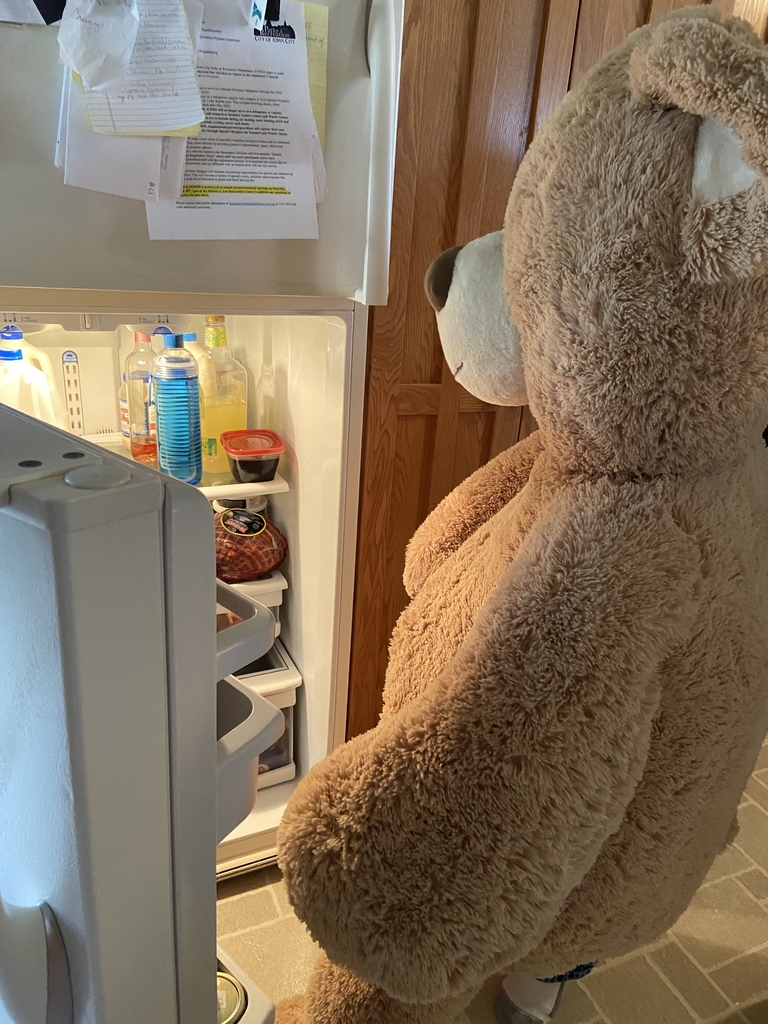 Teddy Bear looking inside refrigerator.