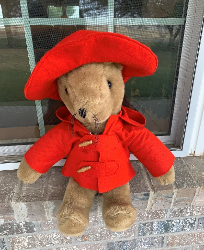 Bear Hunt Continues