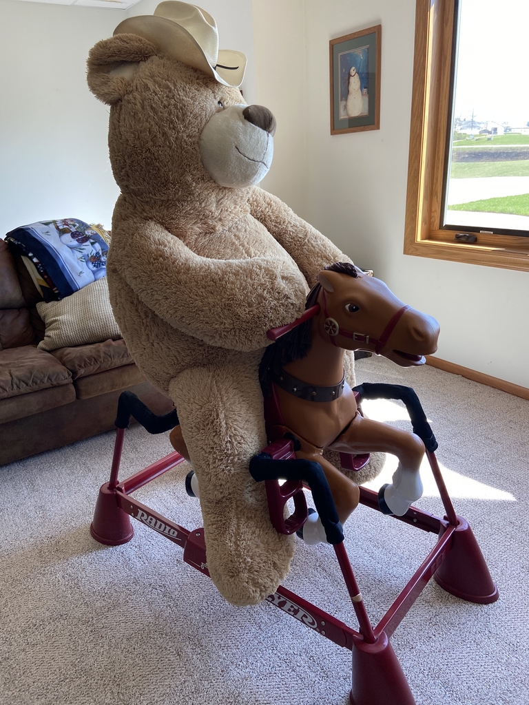 Teddy Bear on a horse.