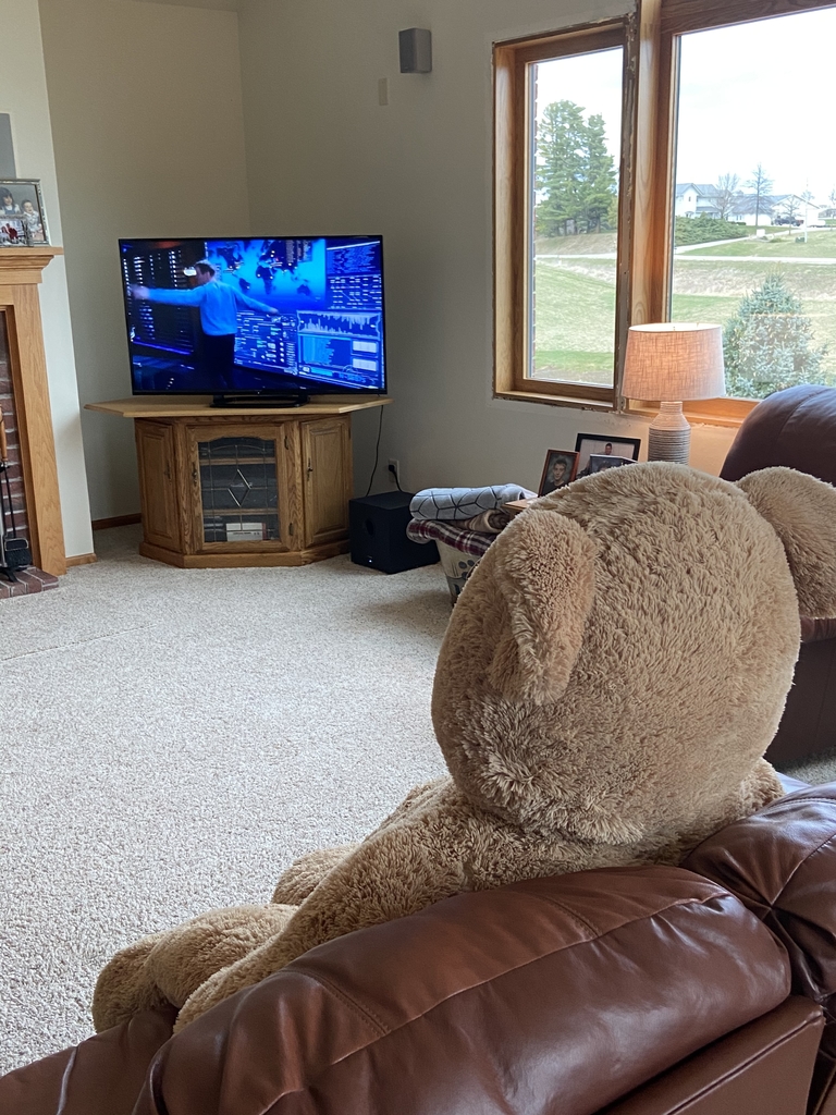 Teddy Bear watching TV.