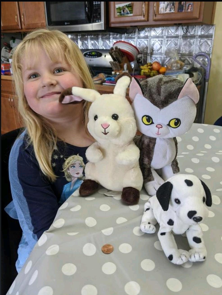 Ms. Alexis's home challenge assignment to the kids!