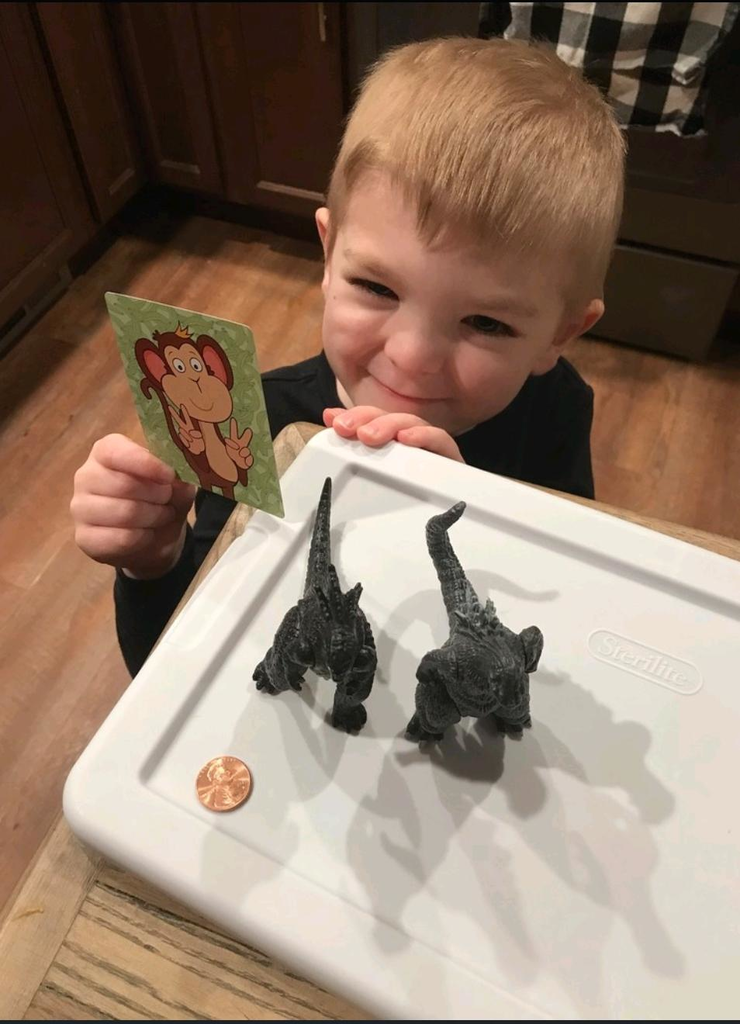 Ms. Alexis's home challenge assignment to the kids!