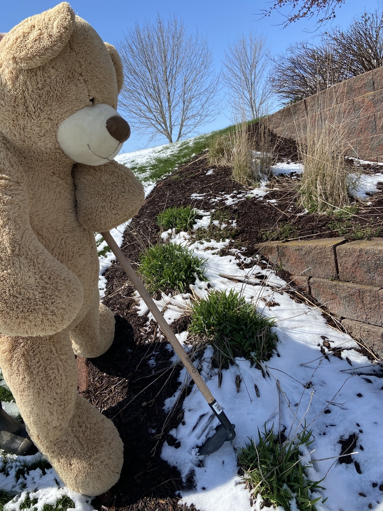 Teddy Bear in a flower garden. 