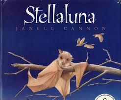 Stellaluna
