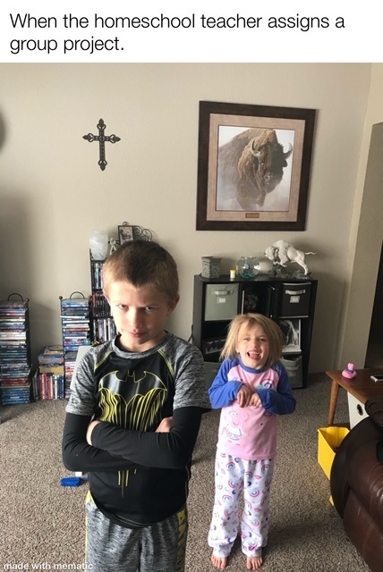 Meme - When the homeschool teacher assigns a group project!