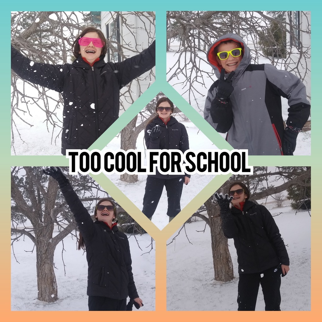 kids playing in the snow