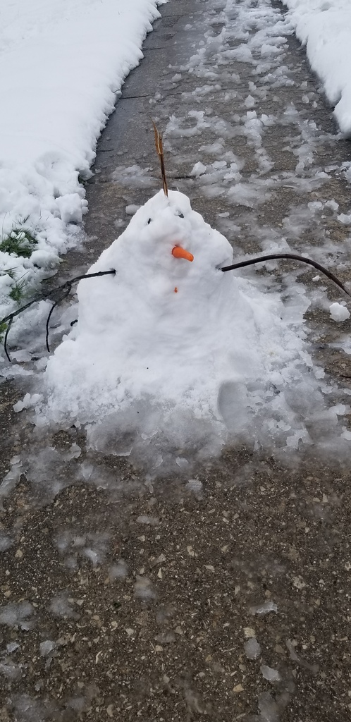 Snowman by Marley