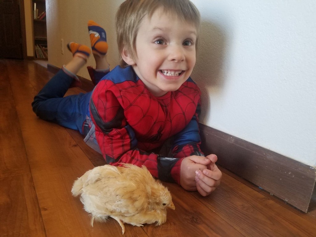 Anthony and a chicken