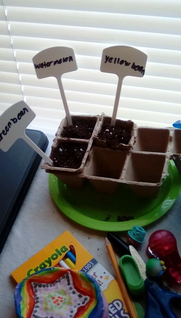 3rd Grade planting