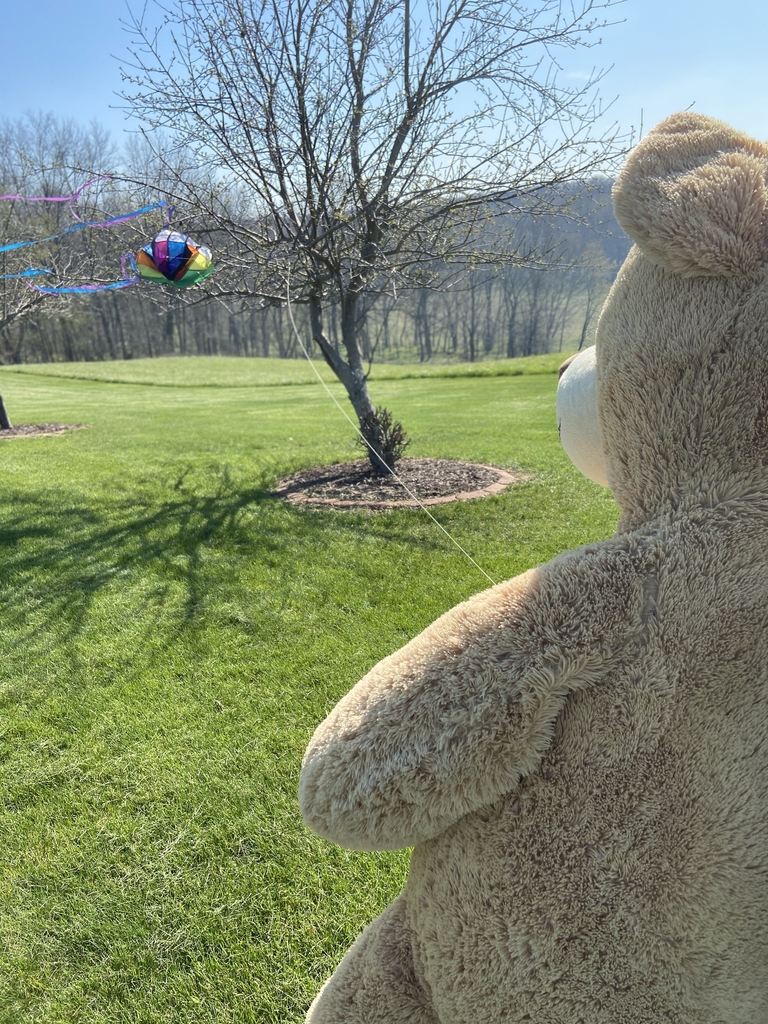 Teddy Bear flying a kite. 