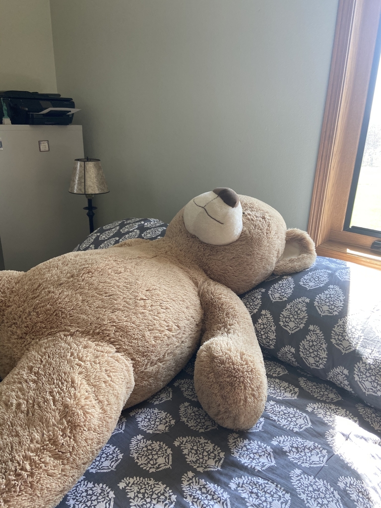 Teddy Bear taking a nap. 