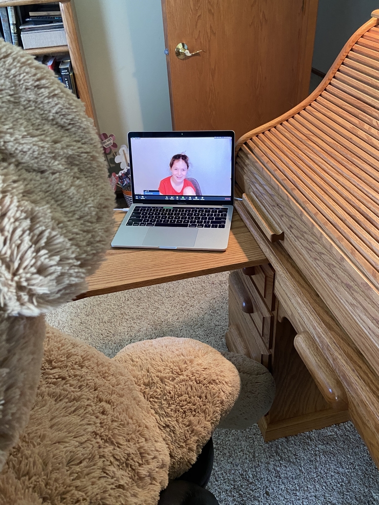 Teddy Bear looking at computer. 