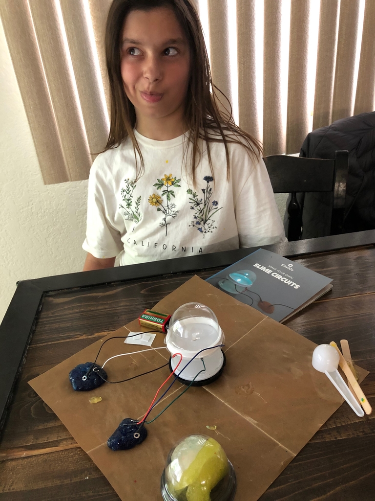 Nat and her Kiwi Crate build