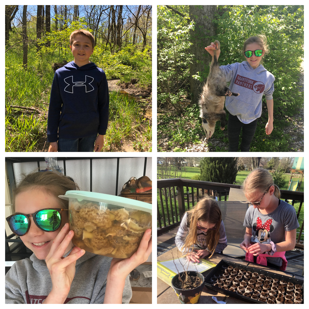 Grantfork Elementary students celebrated Earth Week in many different ways!