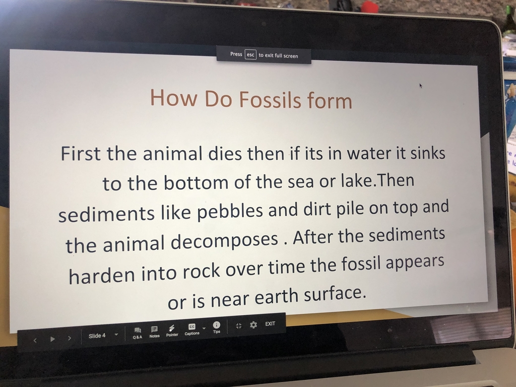 How fossils form