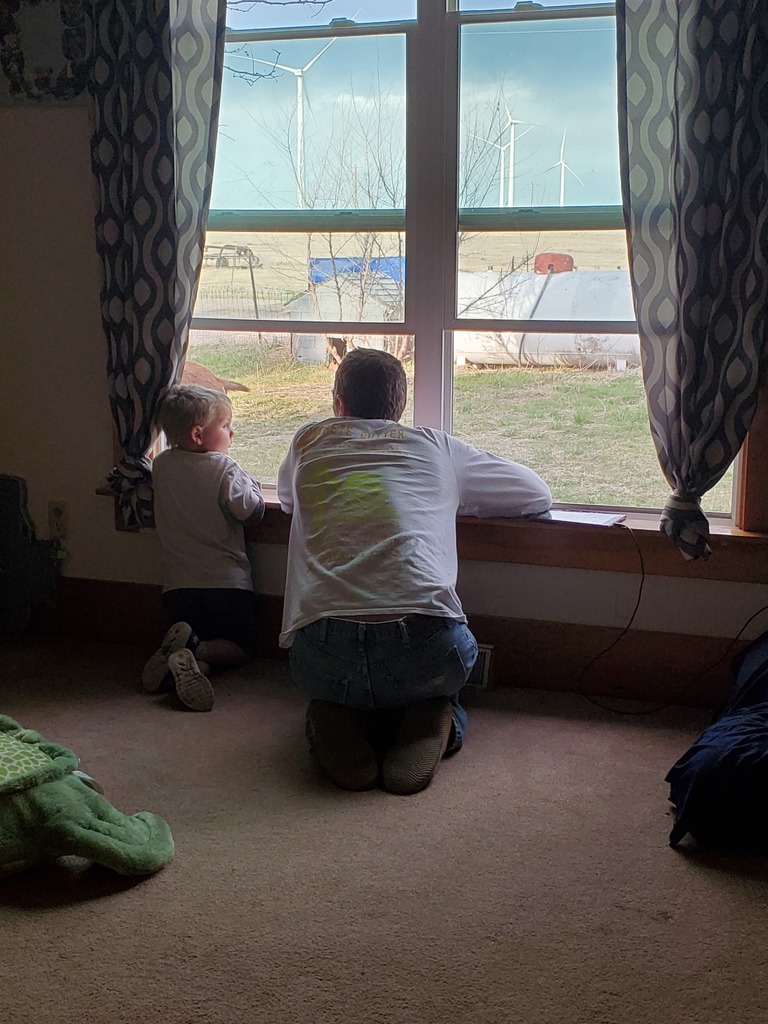 Father and son looking out the window