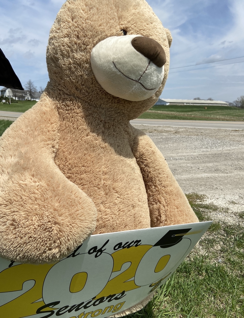 Teddy Bear outside.
