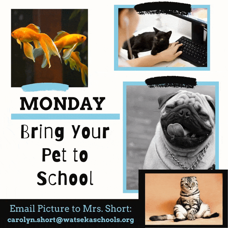 WCHS Spirit Week - Monday