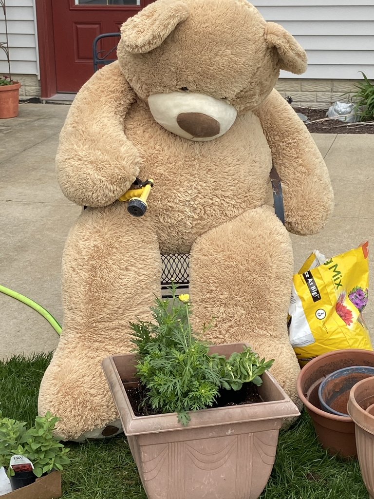 Teddy bear watering flowers.
