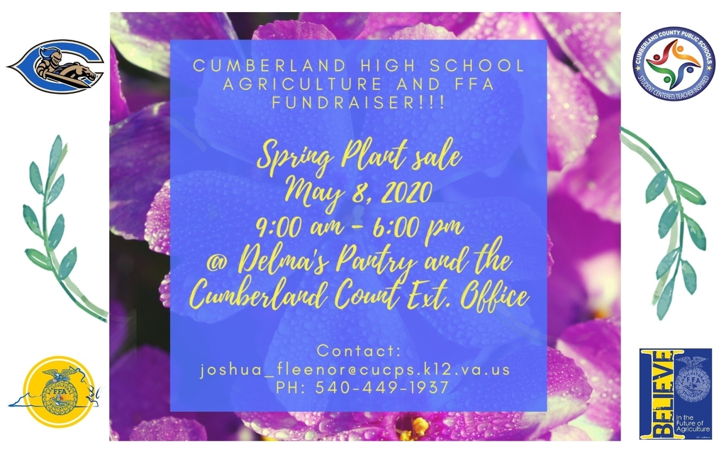 Spring Plant Sale