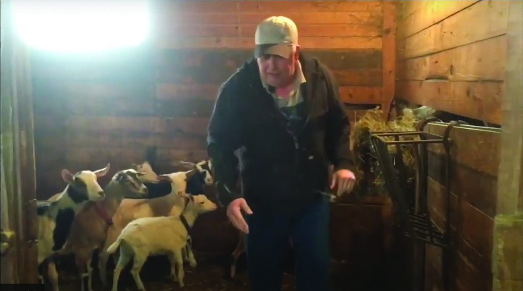 Mr. Foster feeds his goats.