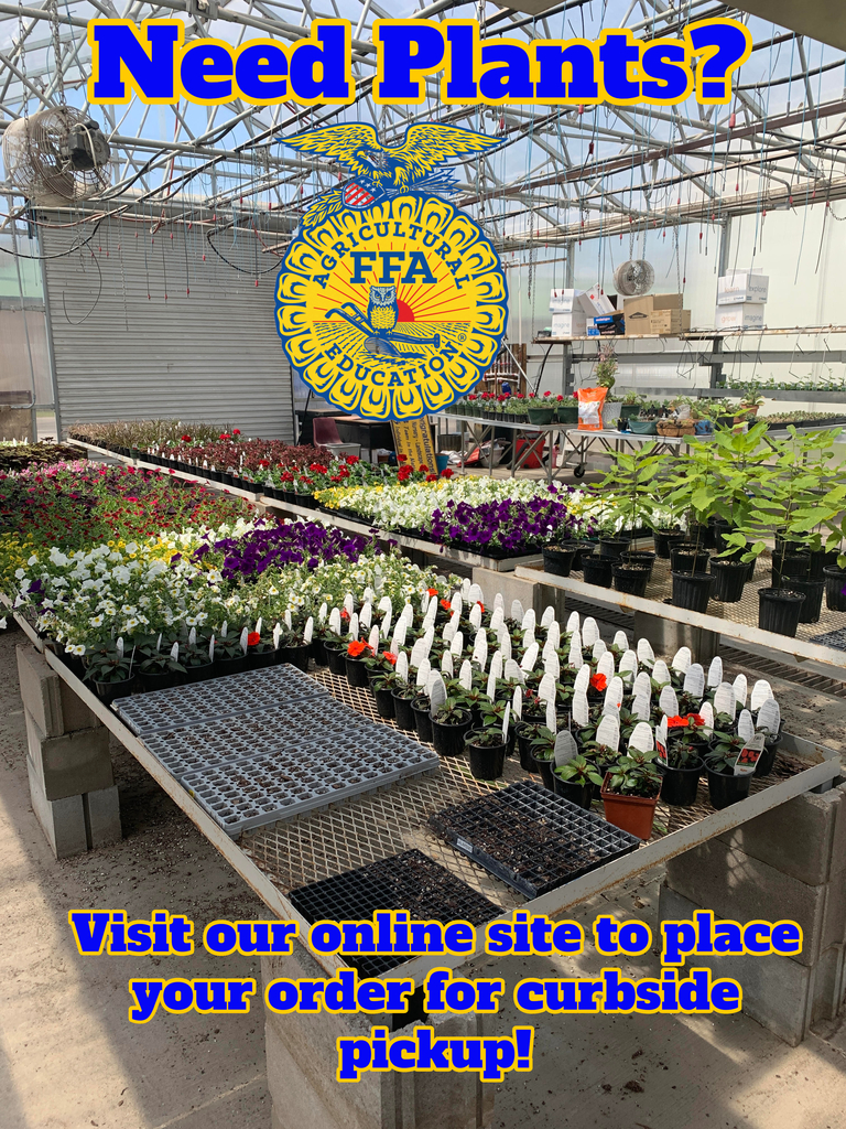 FFA Plant Sale