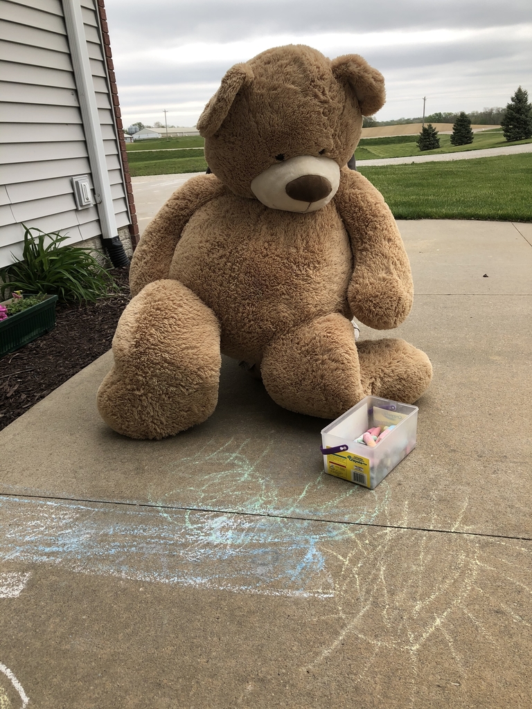 Teddy Bear using chalk on sidewalk.