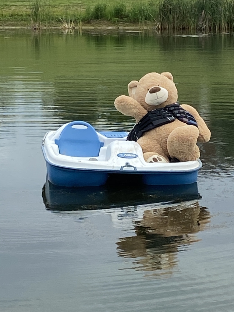 Teddy Bear in a paddle boat. 