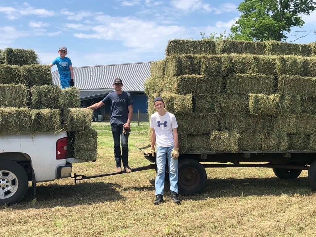 Hay 2020