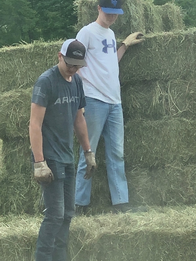Hay 2020