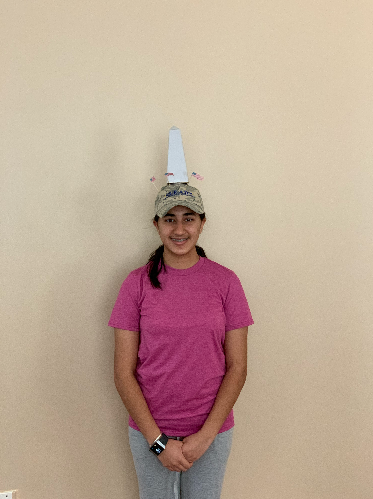 STEM Hats