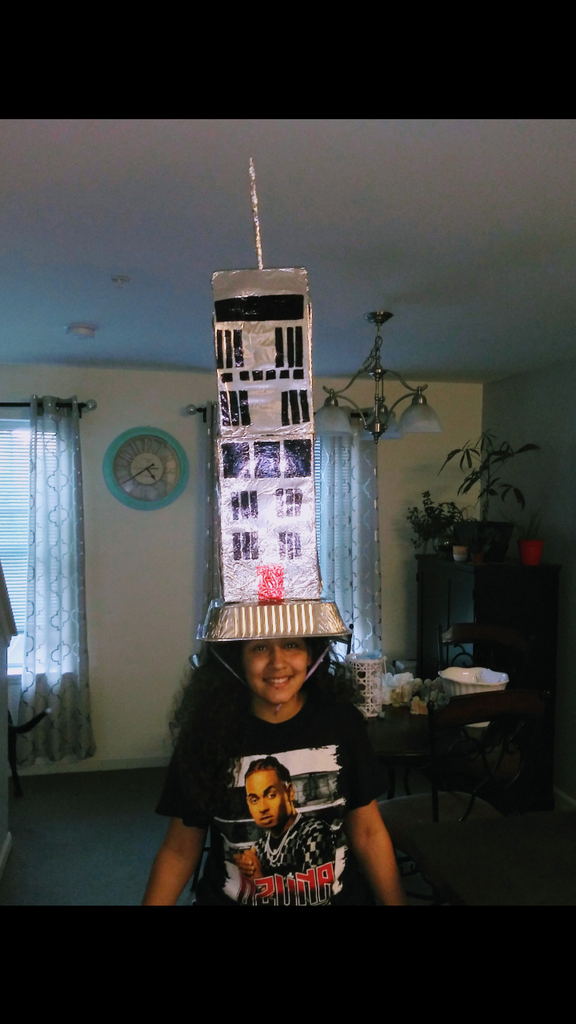 STEM Hats