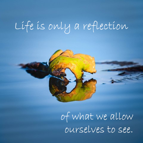 leaf reflection in water. Text: Life is only a reflection of what we allow ourselves to see