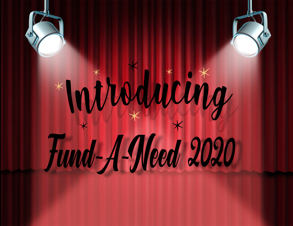 Fund-A-Need 2020
