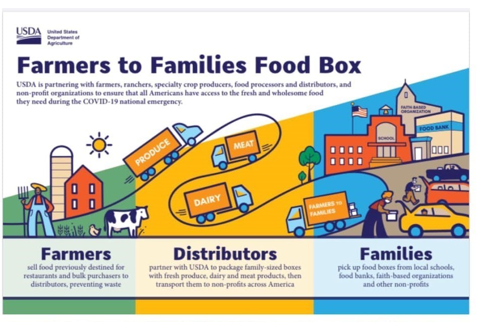 Farm to Families Food Box Flyer