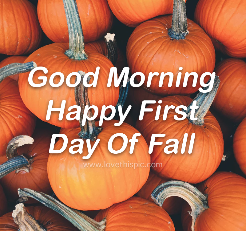 FAll