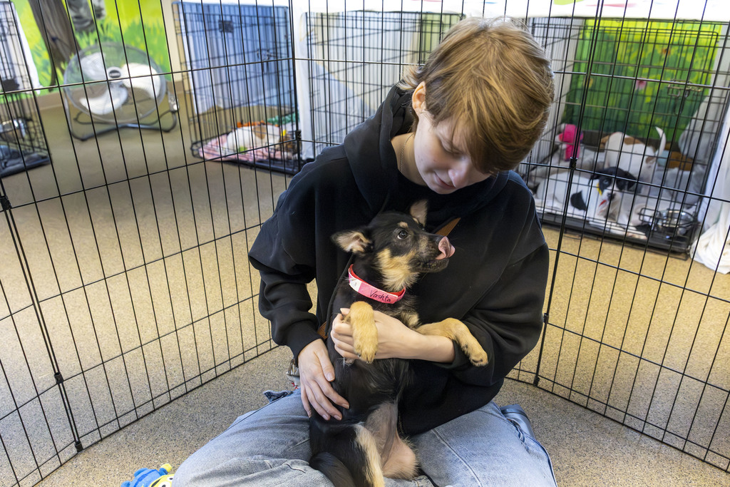 Hartland student gets to give some cuddles to a pup waiting for adoption