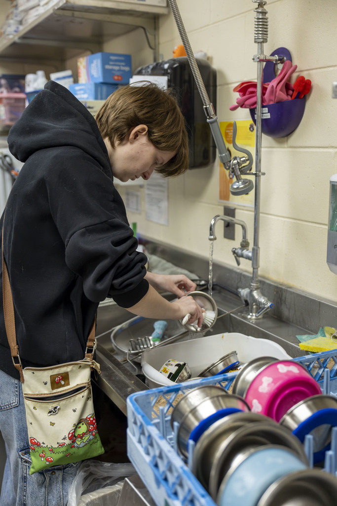 Student gets to help care for dogs by  washing dishes