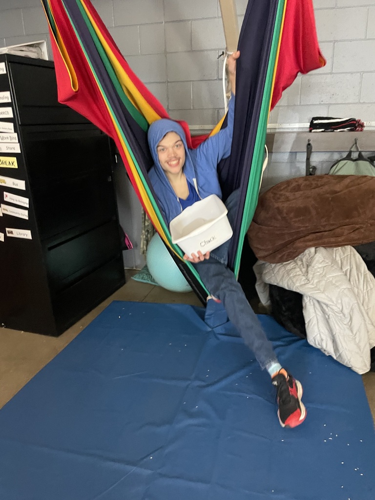 Young man in a classroom swing.