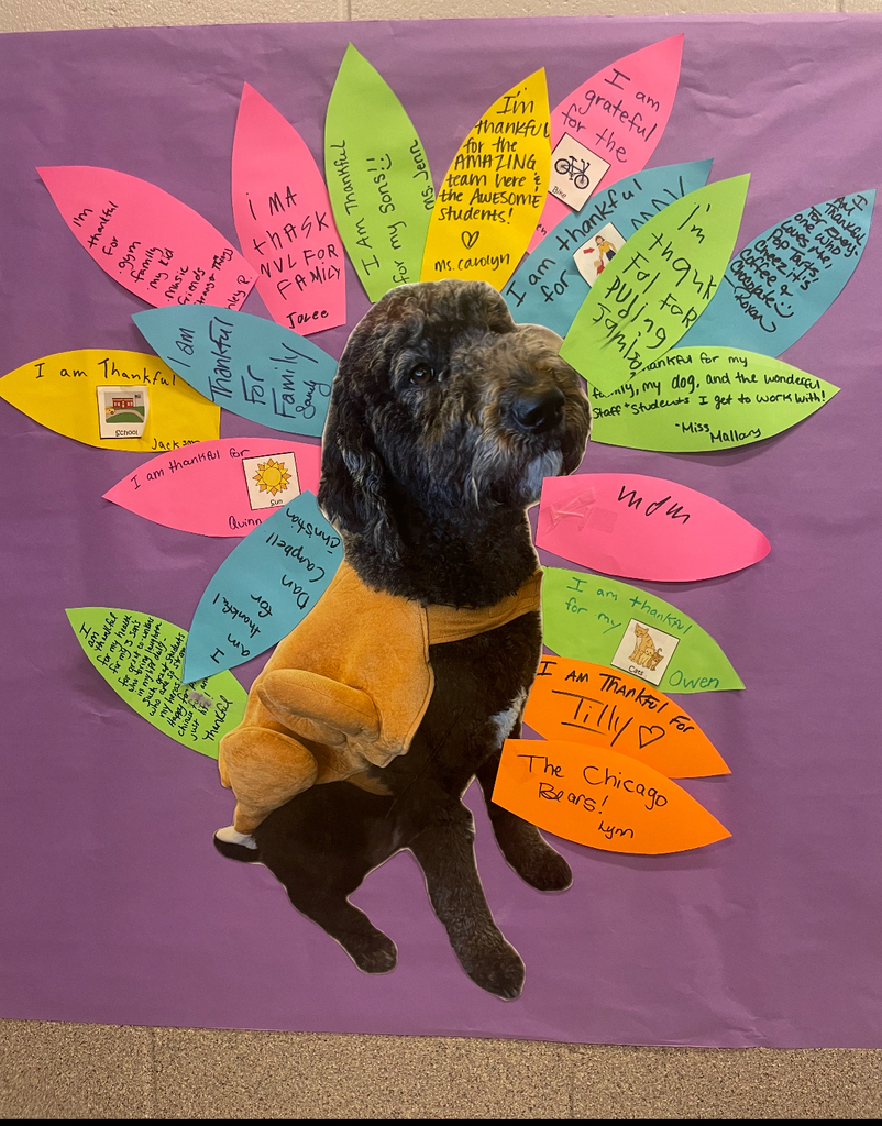 A dog in a turkey costume is centered on a purple background with a colorful, handwritten "I am thankful" feather display.