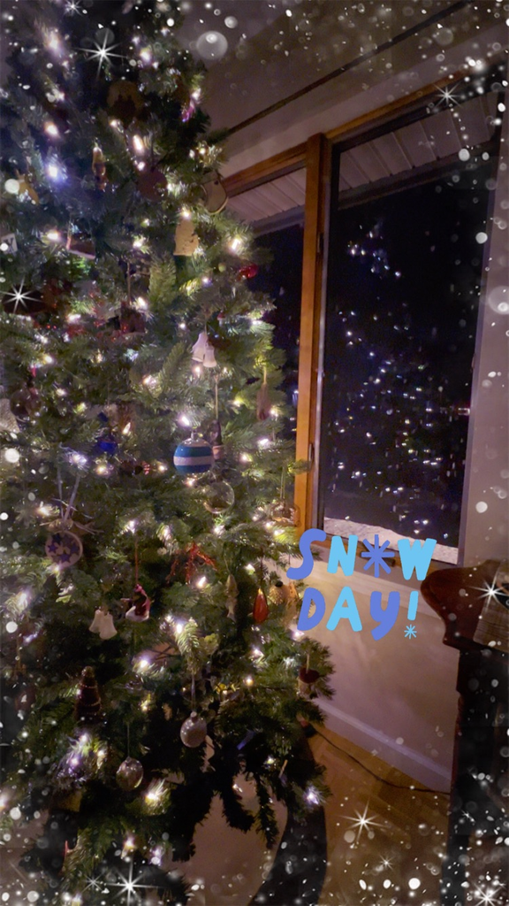 Christmas Tree lit up 