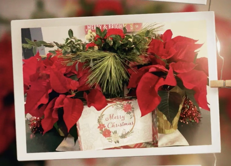 Christmas Flowers with Merry Christmas sign 