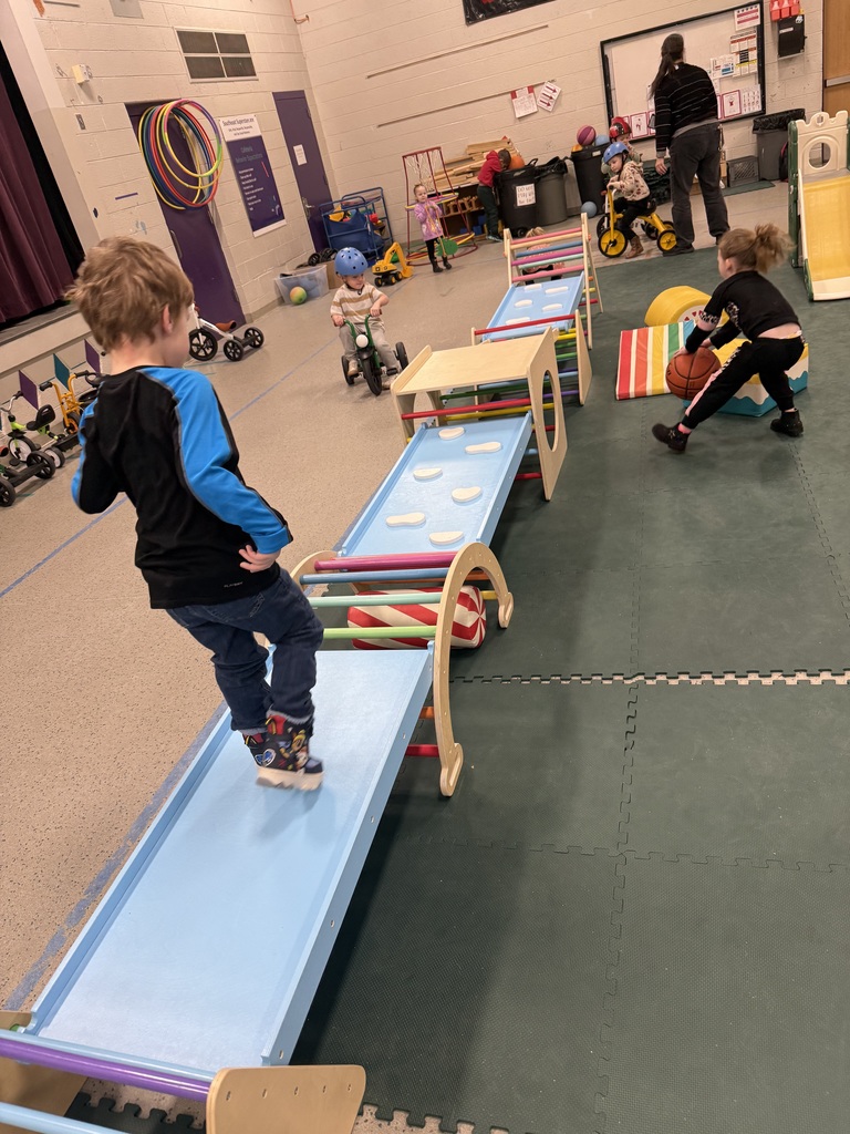 Preschool children engage in indoor gross motor play, climbing, riding trikes, and playing with balls in a gym space.