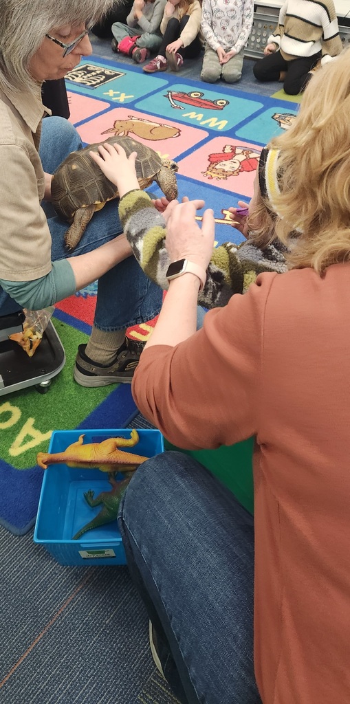 A young boy touching a turtle that is being held by an adult.