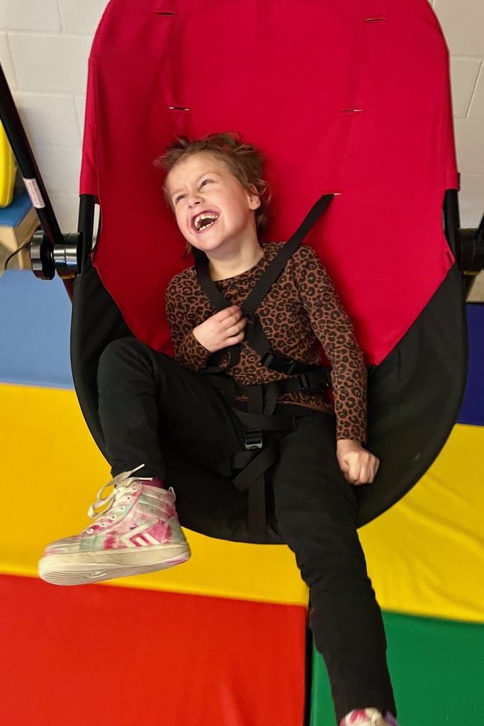 Little girl with a huge smile on an adaptive swing
