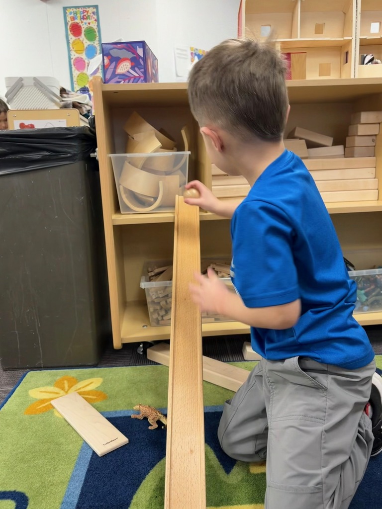 A preschool student kneels beside a wooden ramp, holding a ball at the top and preparing to release it while observing how it will roll.