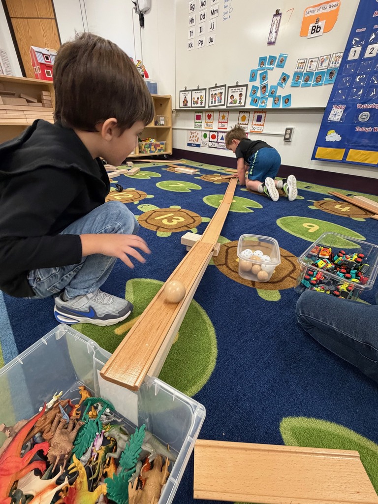 A preschool student kneels beside a wooden ramp, holding a ball at the top and preparing to release it while observing how it will roll.