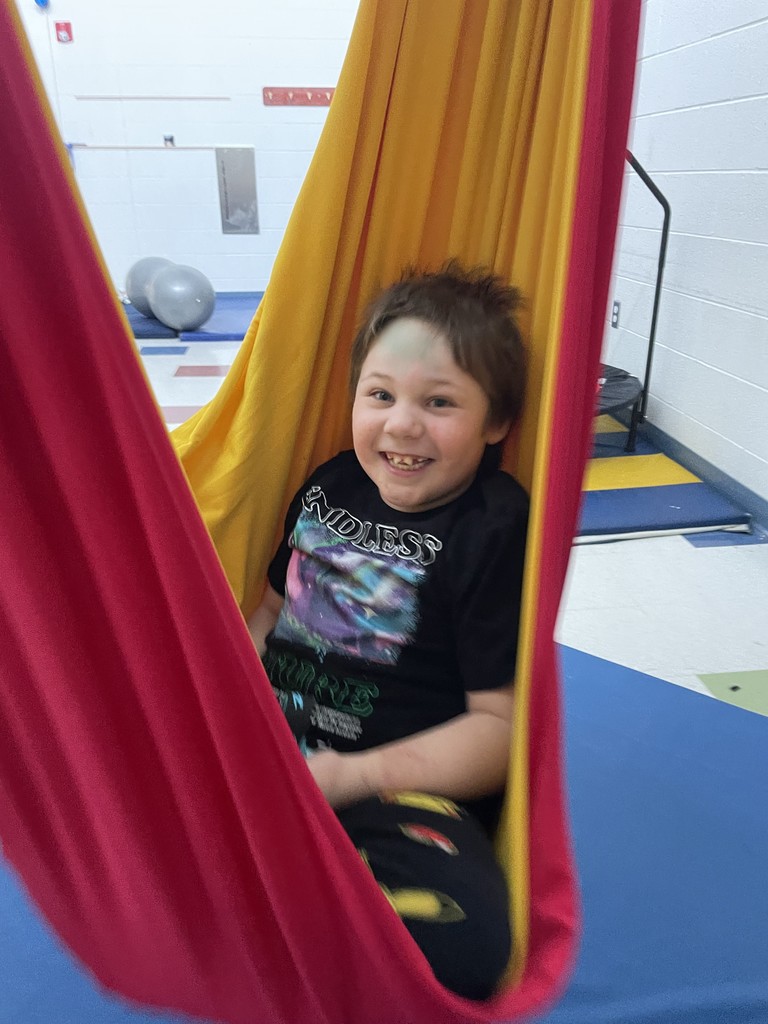 Boy with huge smile, sitting in the swing.