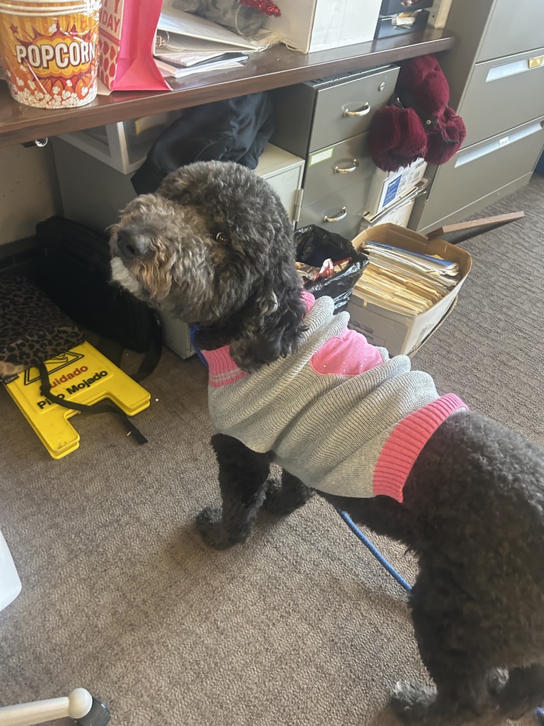 Tilly dressed in Valentine